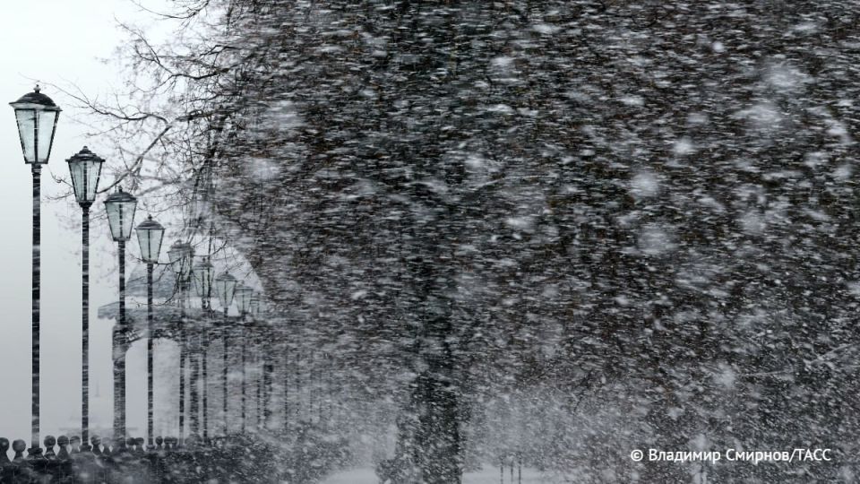 Часть Новосибирска, пригорода и Искитимского района области остались без света из-за метели