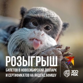 Любовь к животным объединяет