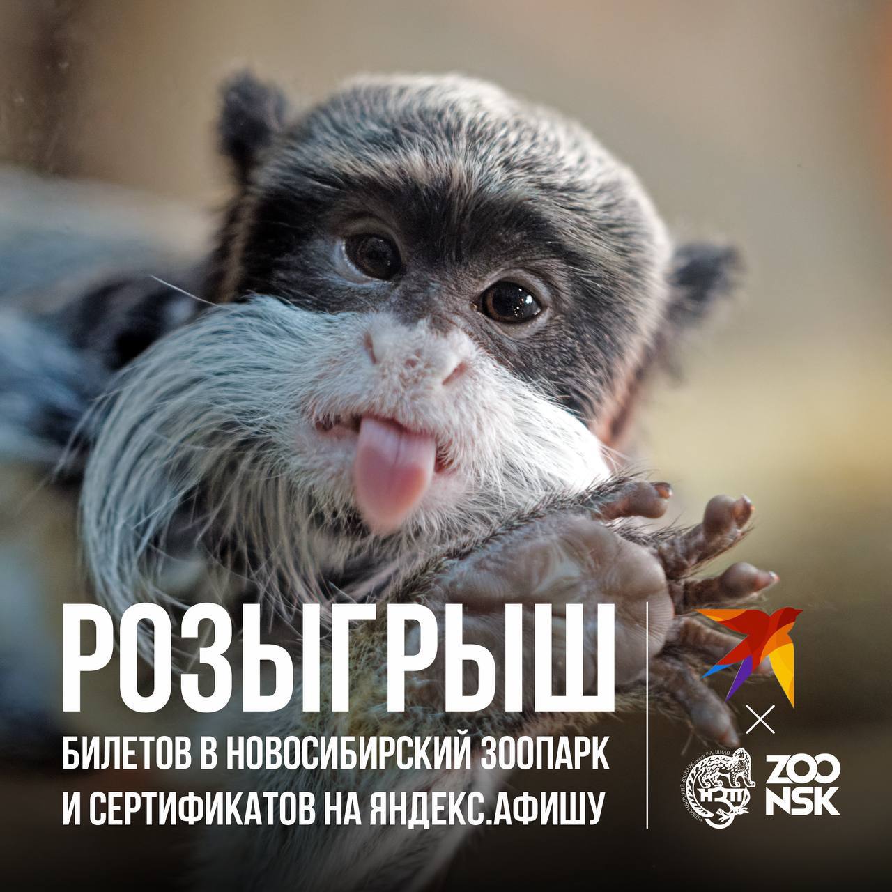 Любовь к животным объединяет