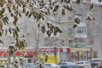 Перепады температур и сильные метели будут в Новосибирске до конца ноября