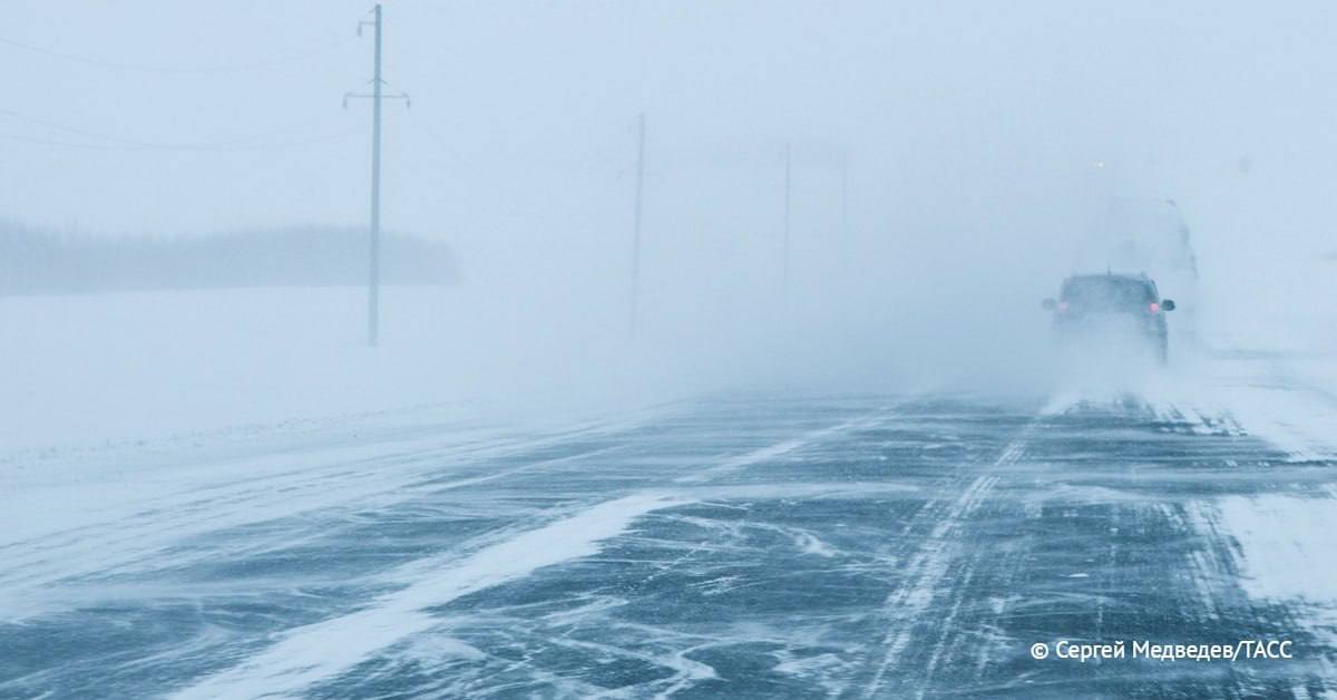 Подвоз детей в школы в восьми районах Новосибирской области стал невозможен из-за снегопада, всего до мест обучения не добрались более 700 учащихся