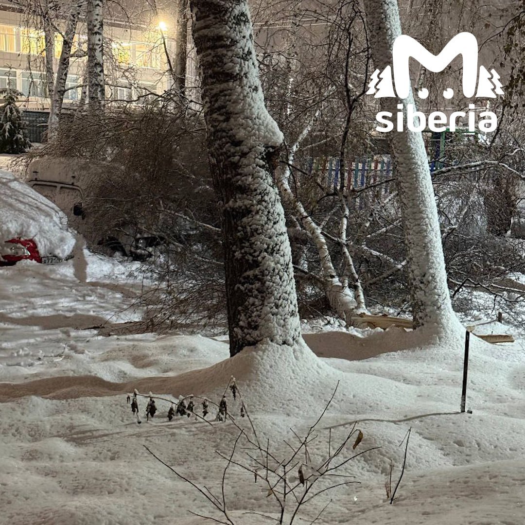 Новый квест от непогоды в Новосибирске — полоса препятствий с поваленными деревьями Новый квест от непогоды в Новосибирске — полоса препятствий с поваленными деревьями