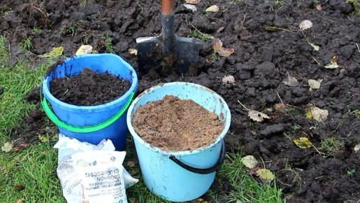 Как осенние подкормки могут превратить ваш сад в цветущий оазис