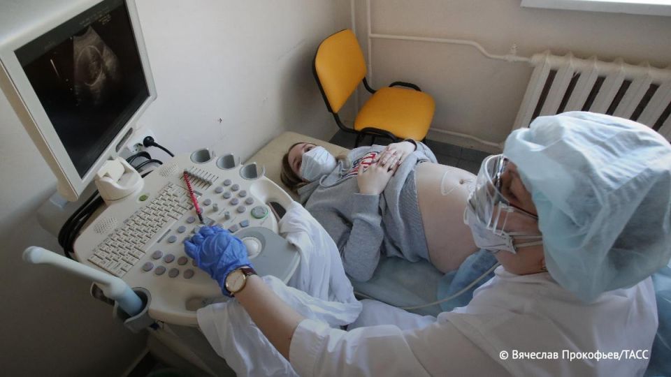 Количество квот на процедуру ЭКО в Новосибирской области за три года выросло почти вдвое