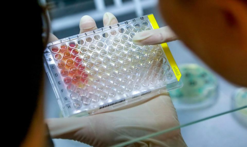 Как усовершенствовать лекарства от оспы — придумали в Новосибирске