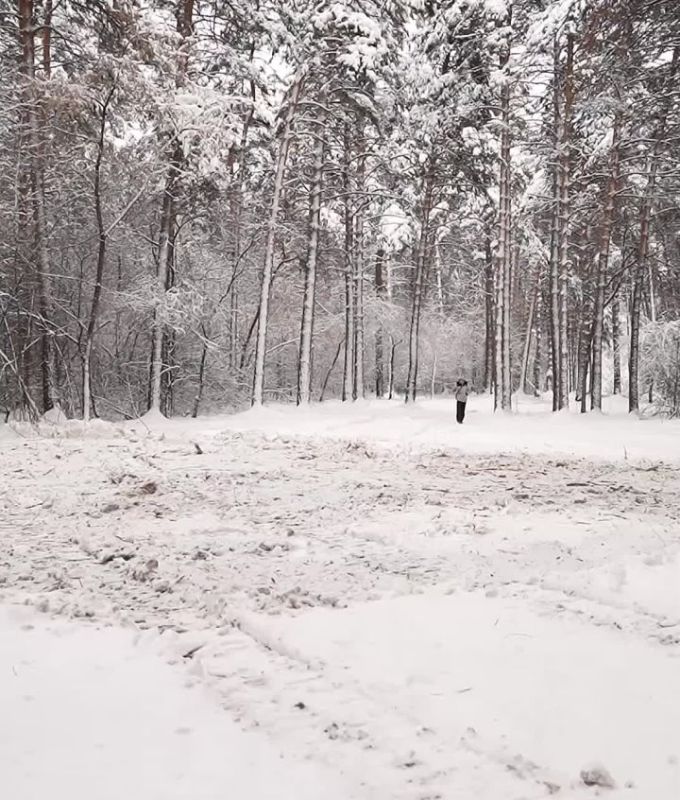 Кольцевые дорожки очистили от поросли в Инюшенском бору