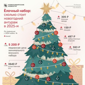 Подготовка к новогодним праздникам в этом году станет дороже