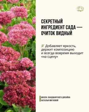 Секреты создания живописного сада без лишних усилий