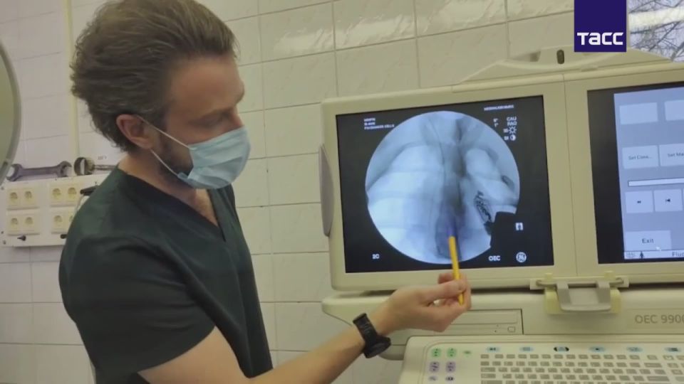 В Новосибирске впервые в мире зафиксировали активность клеток-водителей ритма на 3D-модели сердца животного