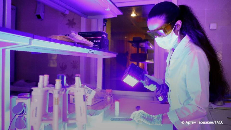 В Новосибирске разработали соединения для очищения тканей светом