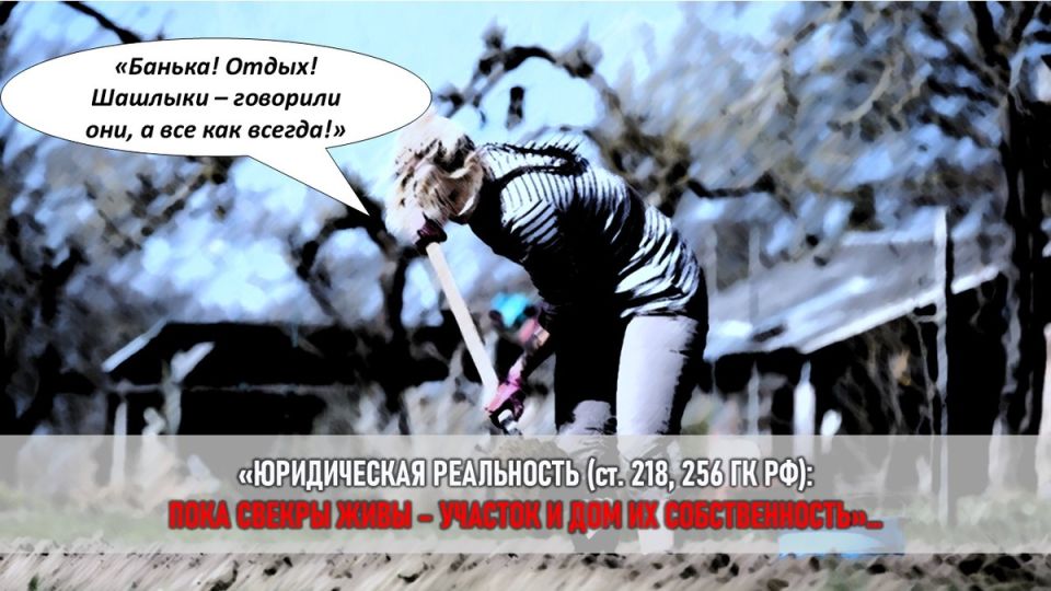 Как свекровь и огород стали причиной семейных конфликтов: История борьбы за личные границы