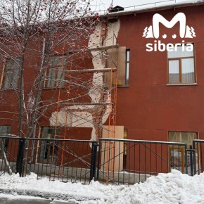 Учеников школы в центре Новосибирска перевели на дистант из-за гигантской трещины