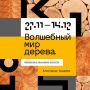 Дерево как главное средство выражения: в ЦК19 открывается выставка Александра Андреева