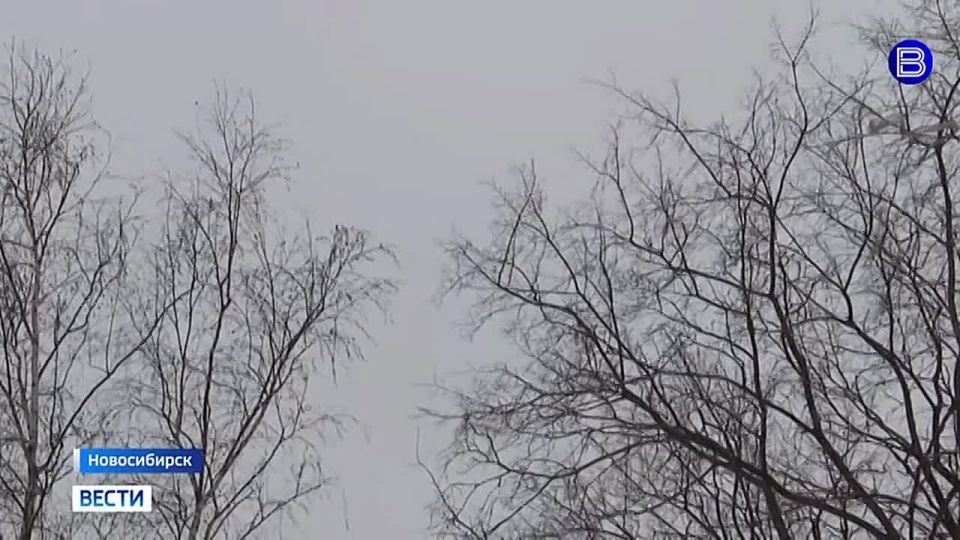 Прогнозируют до -27°C. Погода готовит неприятный сюрприз жителям Новосибирской области