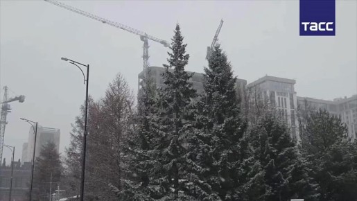 Снегопад накрыл Новосибирск