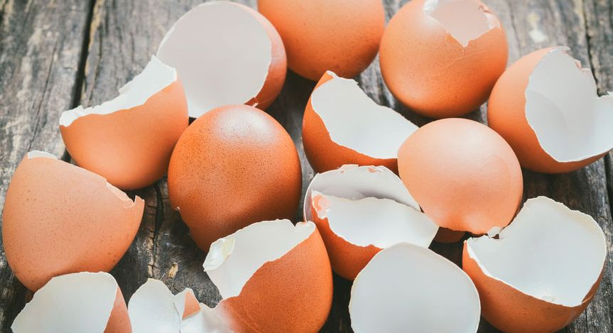 ������ ��������: �������, ������� ������� ��� ��� ��������