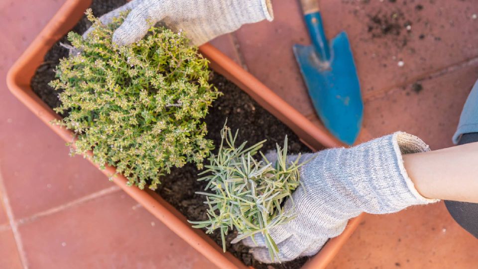 ��� ������ ��� ������ ������� ��������� ������: ��� ������ ������� �� ��������