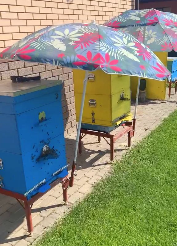 Как распознать поддельный мёд: проверенные методы для потребителей