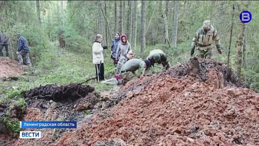 Поиски родных. В Ленинградской области поисковый отряд обнаружил советский бомбардировщик, сбитый фашистами ещё в 1941 году