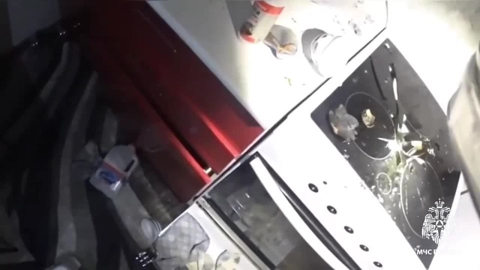 Собака взорвала квартиру в Новосибирске - Baza