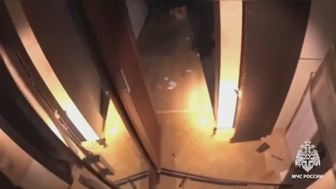 Кто виноват: человек или собака?