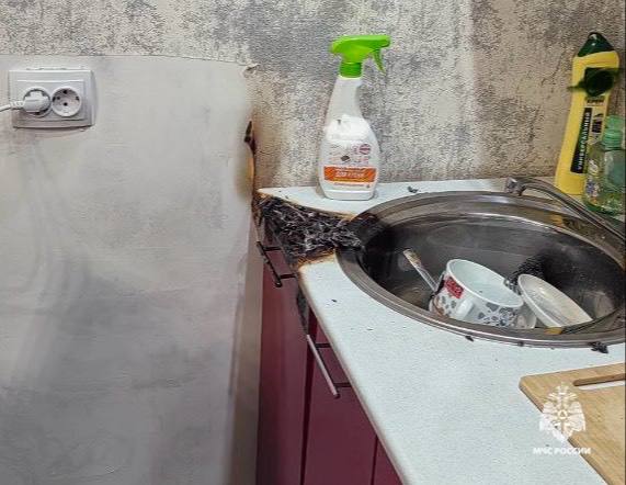 Кто виноват: человек или собака? Кто виноват: человек или собака?