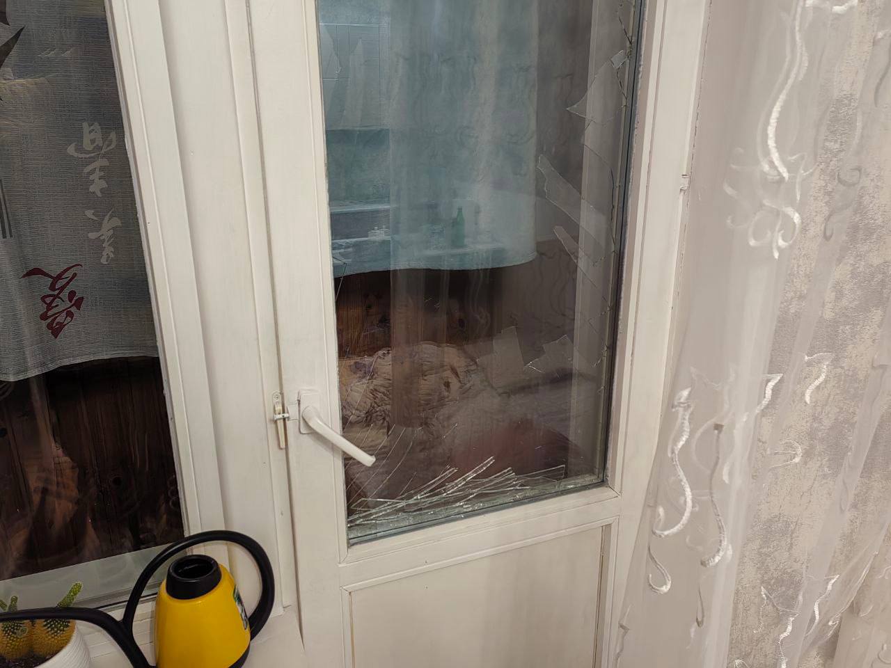 Кто виноват: человек или собака? Кто виноват: человек или собака?