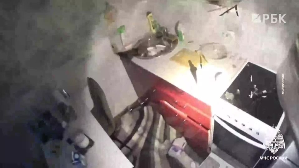 В Новосибирске собака включила плиту, из-за чего оставленный на ней баллончик дихлофоса нагрелся и разгерметизировался, сообщили в МЧС