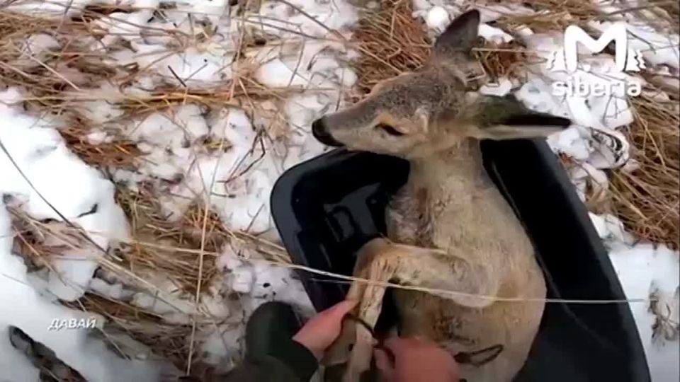 ���� ������� ������ �� �������� ������ �� ���� � ������������� �������