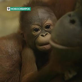 Мамочки, с праздником вас!