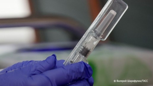    -      10%  2025      2024-,    995