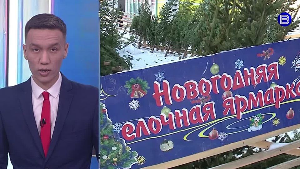 Праздник к нам приходит. Новогодние локации открываются в Новосибирске