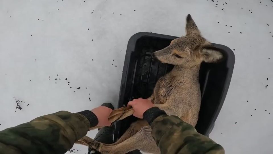 "��� ���� �������": ������������� ������ ������ ����� 30 ������