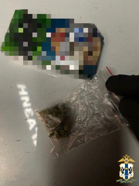 Сотрудниками УНК ГУ МВД России по Новосибирской области пресечена деятельность мужчины, осуществлявшего сбыт наркотических средств на территории региона Сотрудниками УНК ГУ МВД России по Новосибирской области пресечена деятельность мужчины, осуществлявшего сбыт наркотических средств на территории региона