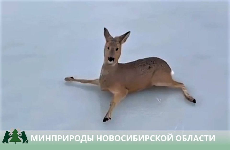 ����� 300 ������ ������ � ���������� ����� � ������������� �������