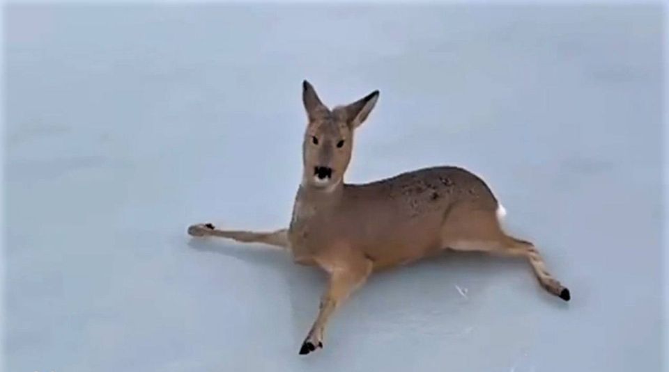 ����� 300 ������ �������� � ������� ����� ����� � ������������� ������� � ������������ ���������� � ��� �������� ���������� ��������� ������������ ��������