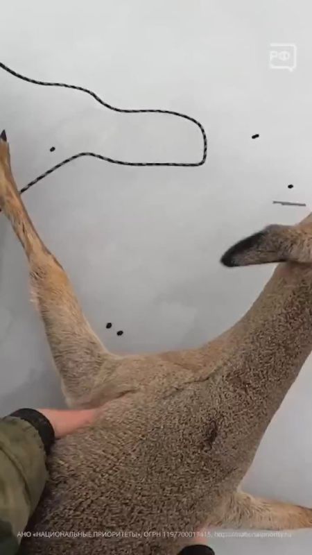 � ������������� ������� ������ 300 ������ �������� �� ����: ��������, ������������� �� ���������� ����, �� ������ ���������� �������� �����