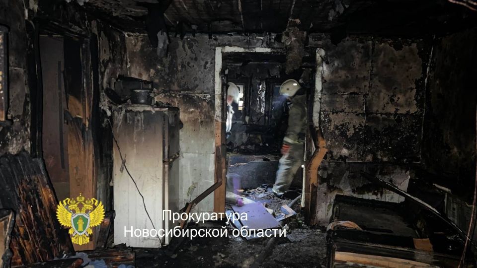 Жительница города Татарска предстанет перед судом за причинение смерти по неосторожности двум малолетним детям Жительница города Татарска предстанет перед судом за причинение смерти по неосторожности двум малолетним детям