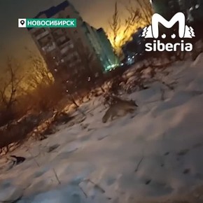 &quot;  , *, !&quot;