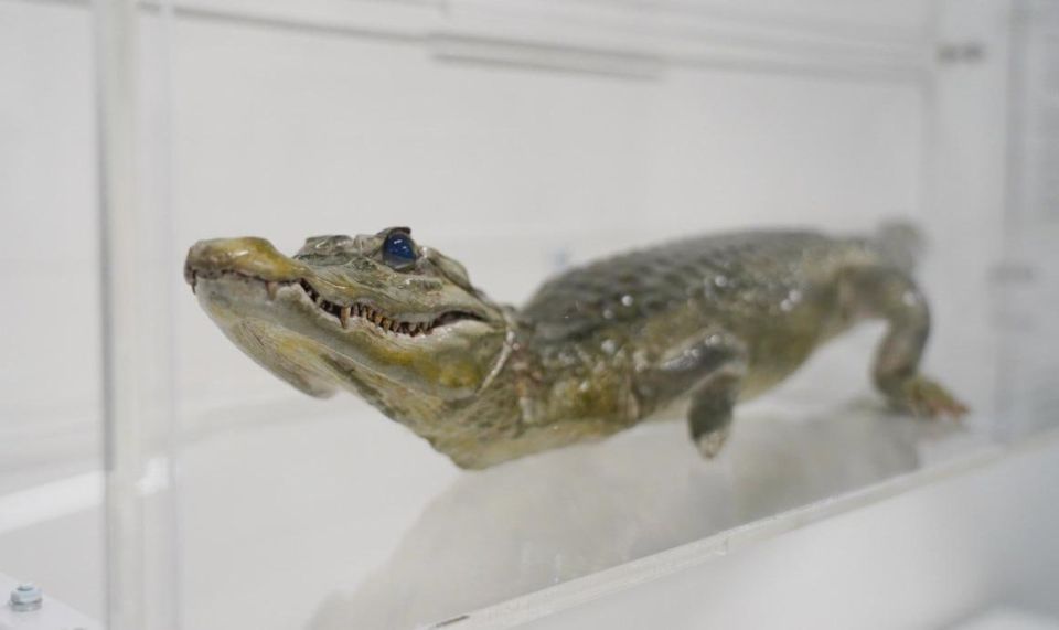 ����� ����� ��� ��������� ����������� ����������� � ����� ����������� ���