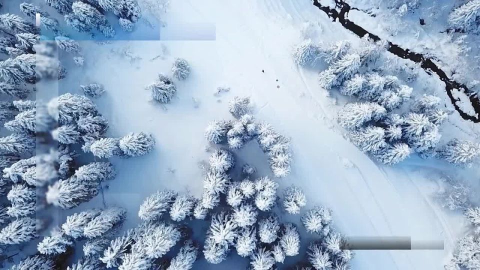 Вести Новосибирск