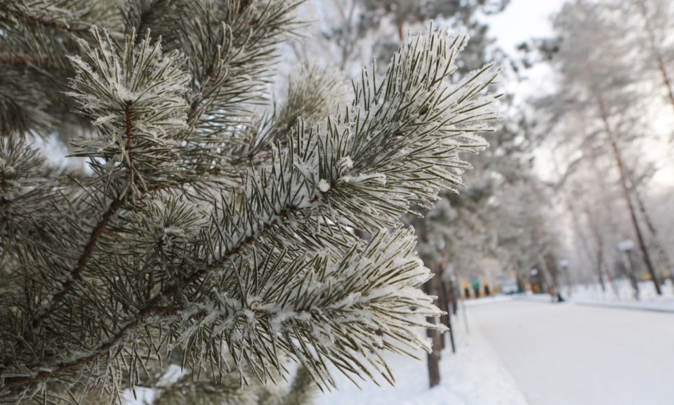 �������� ����� � �������� ����� ������� � ����������� 24-��������� �����