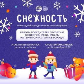 Юных новосибирцев приглашают принять участие в онлайн-конкурсе на лучшее исполнение стихов о зиме