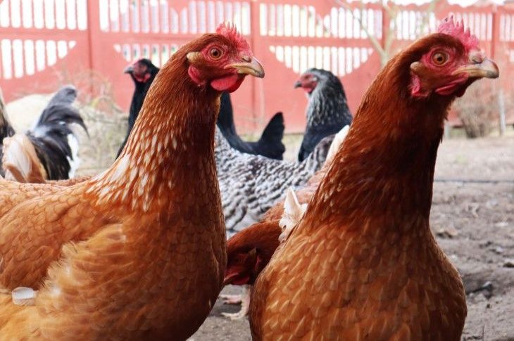 ��� �� � ���� ������ ������ ������� ���: �� ������ � ������� ���