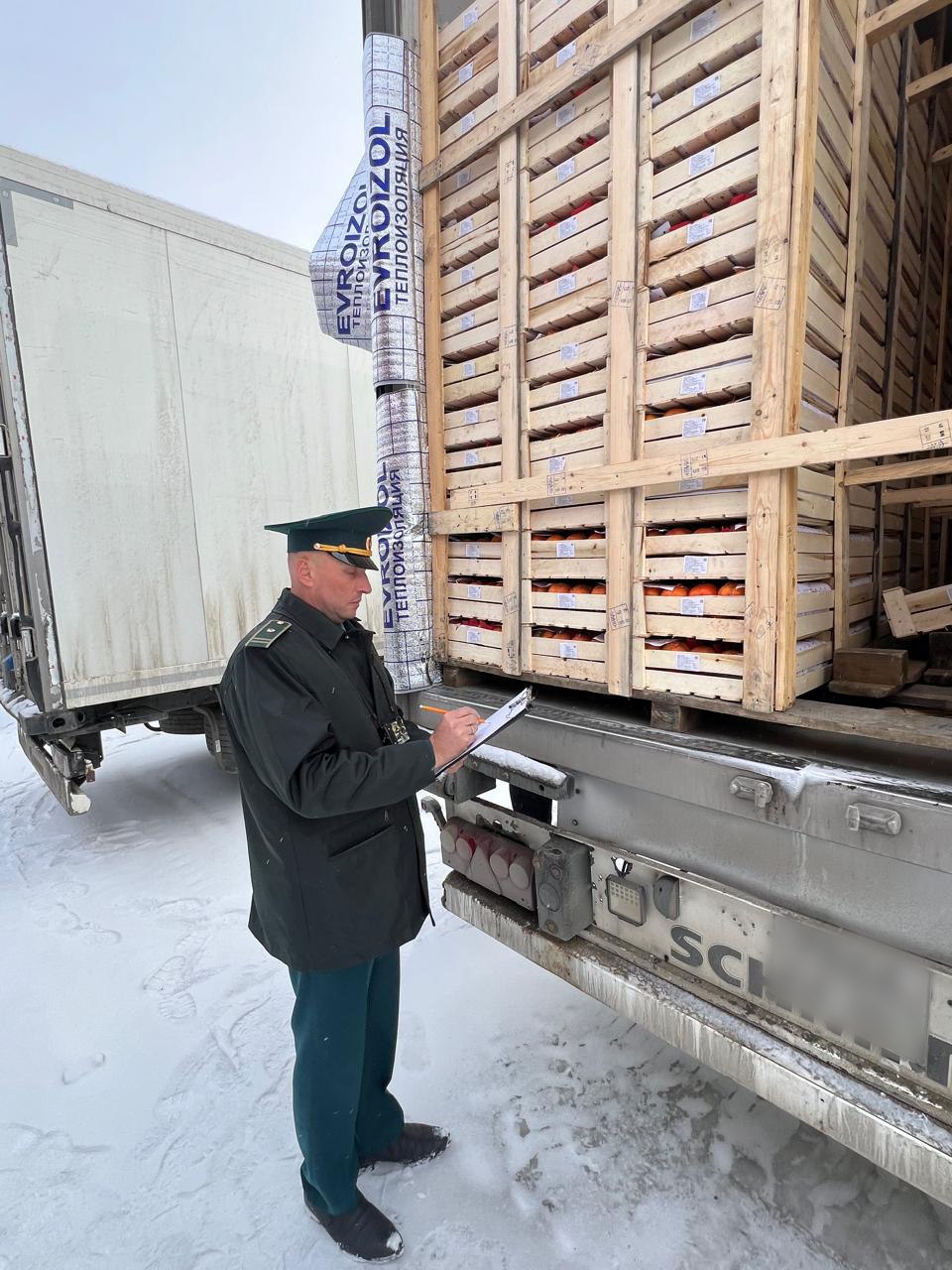 Бесперебойные поставки овощей и фруктов в Новосибирске Бесперебойные поставки овощей и фруктов в Новосибирске