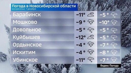 Вести Новосибирск