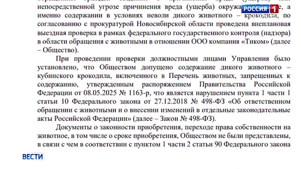 ������ ����. ����� ��� ��� ��������� ���� ���� � ������������