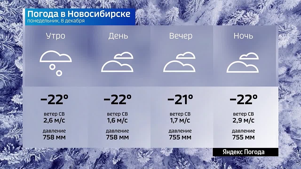 Вести Новосибирск