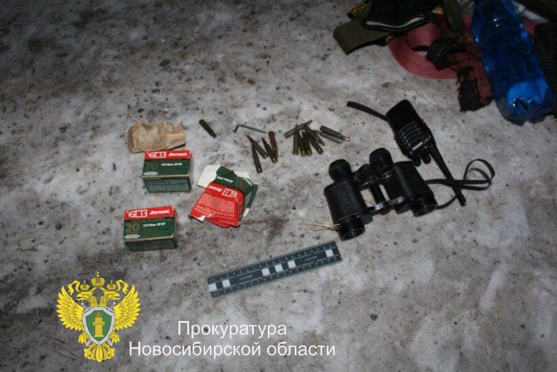 В Новосибирской области осуждены двое мужчин за незаконную охоту