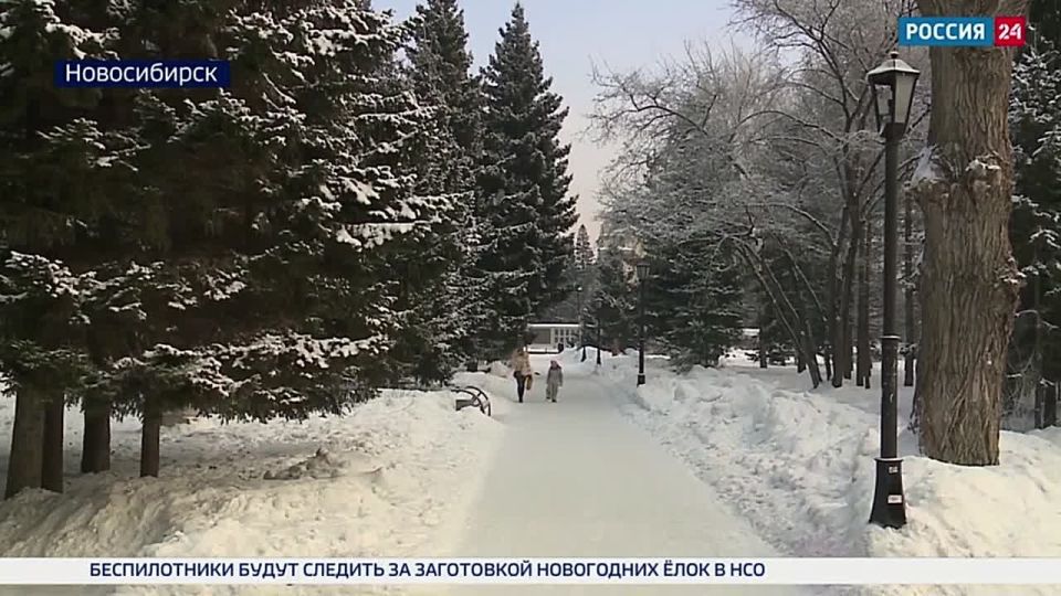 ������ ������. � ������������� ������� ������ ����� ������, ������� ������ ������ � ��������� ����